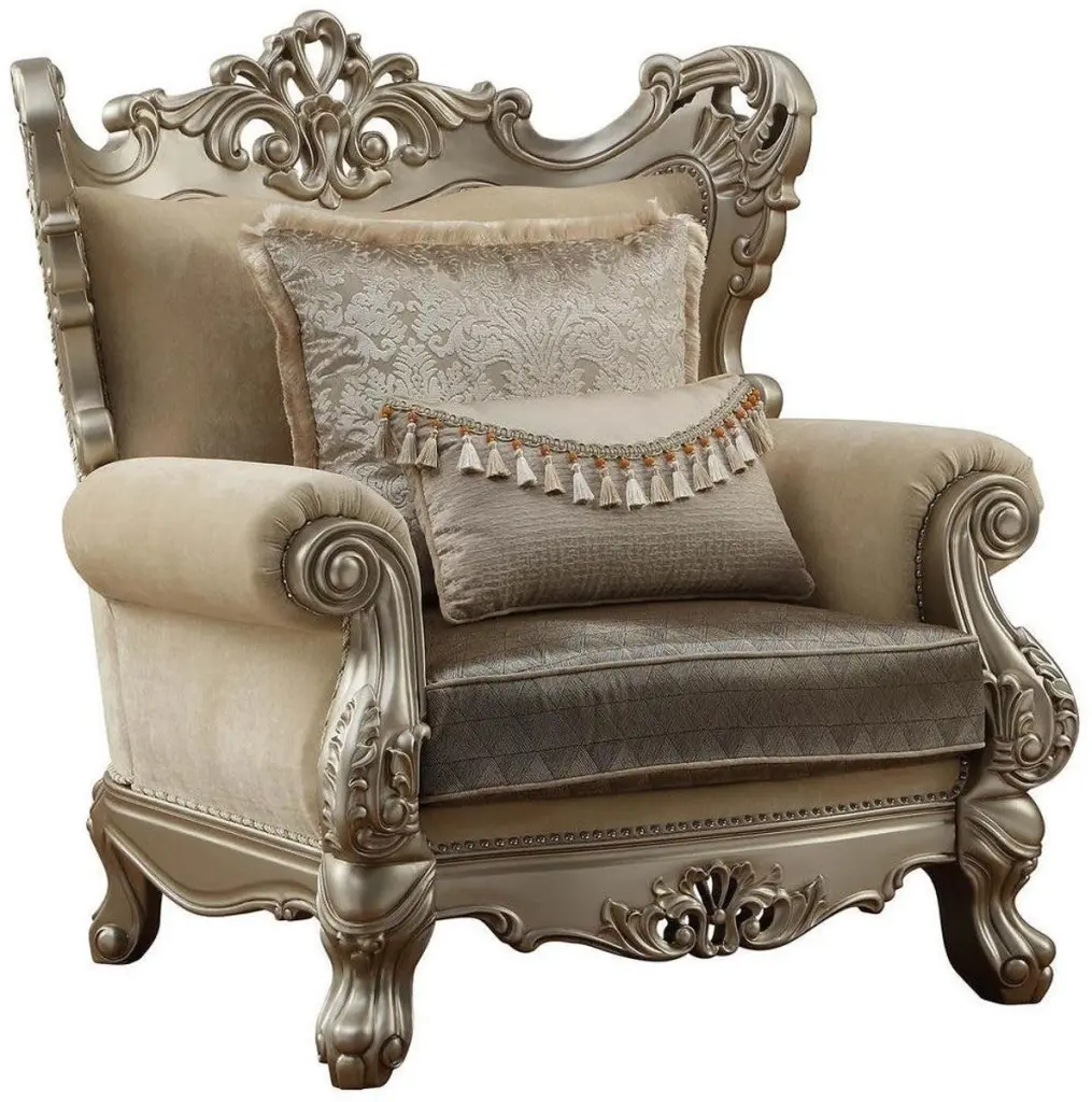 Acme Furniture Ranita Chair Champagne 51042 Elegant Living Room Accent Chair