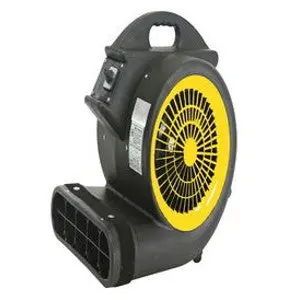 Cyclone Plus Air Dryer and Mover Fast Drying Country True Value