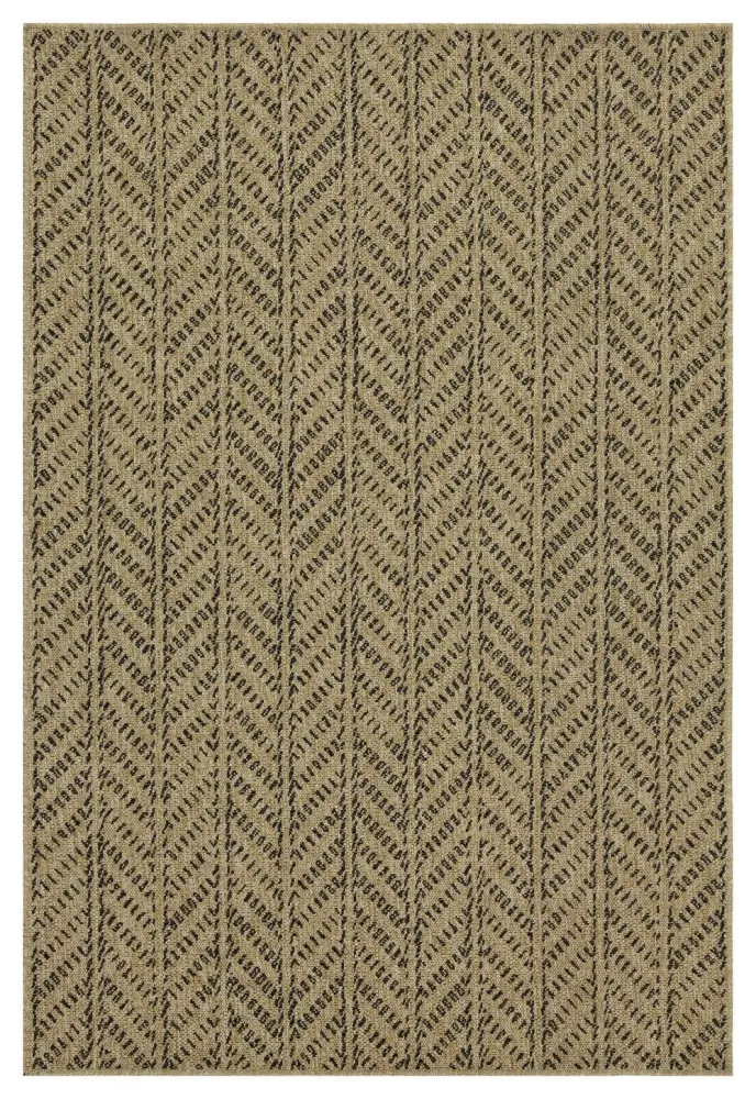 Machine Washable Earth - Indoor / Outdoor Area Rug