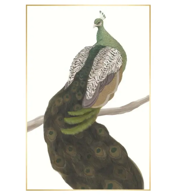 Museum Quality Peacock on Branch