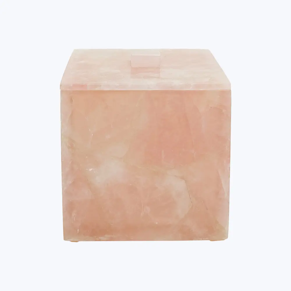 Premium Water-Resistant Taj Container