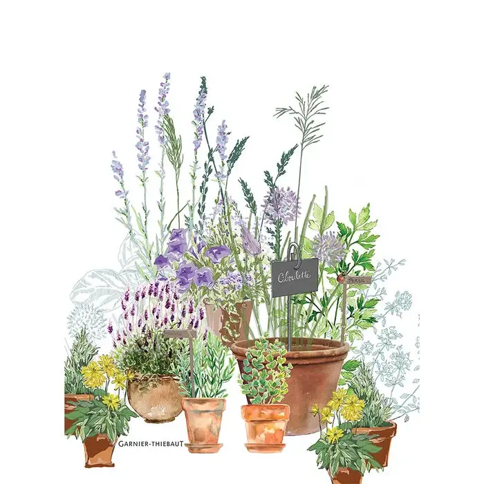 Premium Egyptian Cotton Jardin Aromatique Kitchen Towel, 20" x 28"