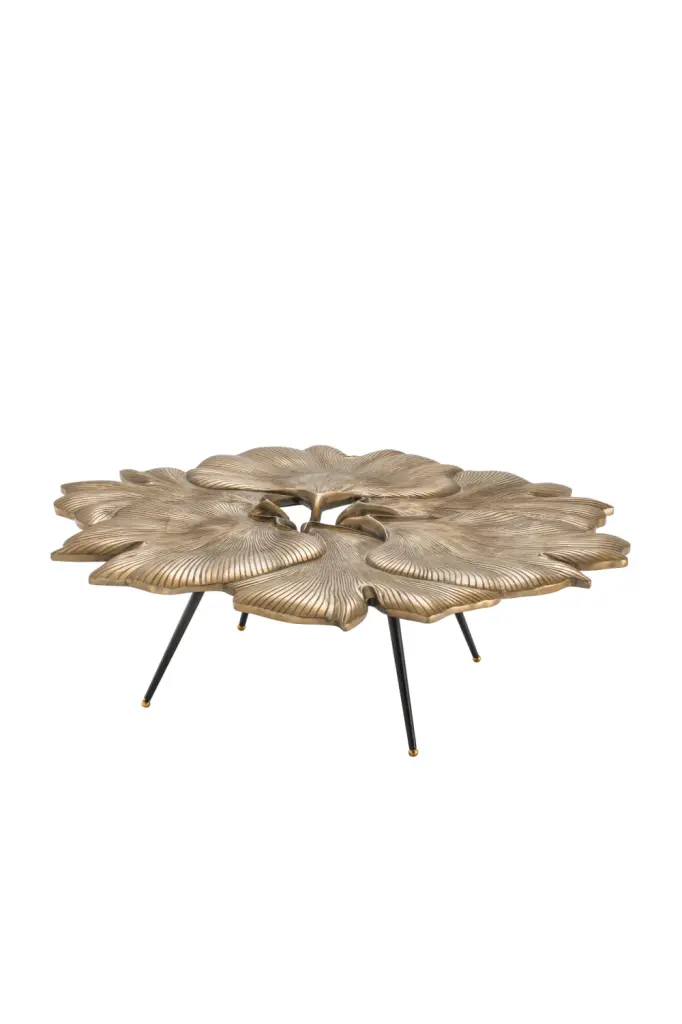 Biloba Coffee Table Eichholtz Ginkgo Contemporary Living Room