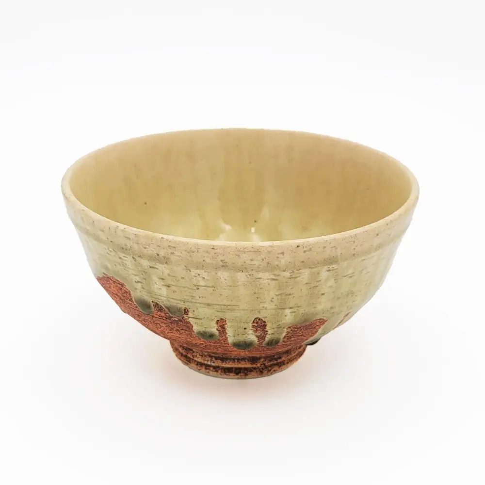 Hai-Yu Nagomi Donburi Bowl