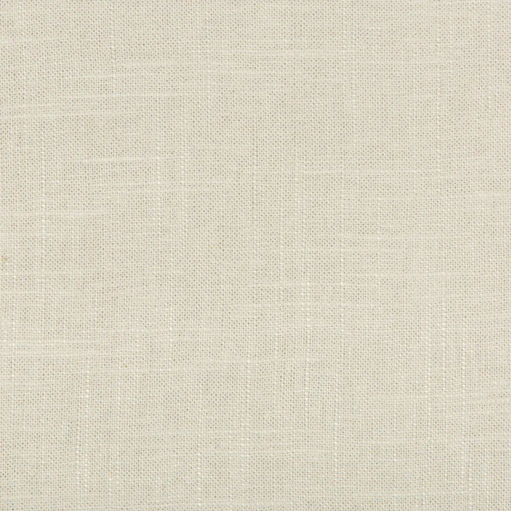 Soft Beige Woven Fabric
