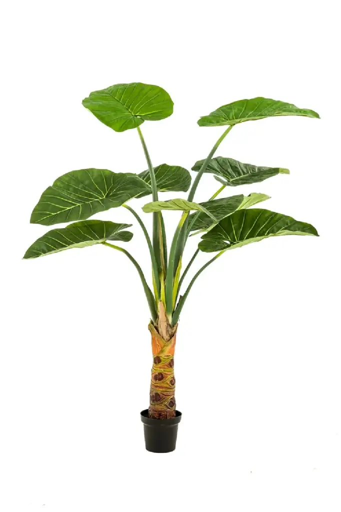 Emerald Alocasia Broad Leaved Faux Houseplants Set 2