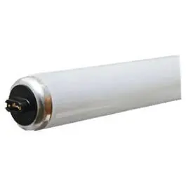 Fluorescent Light Bulb Cool White High Output 48-Inch 60-Watts GE