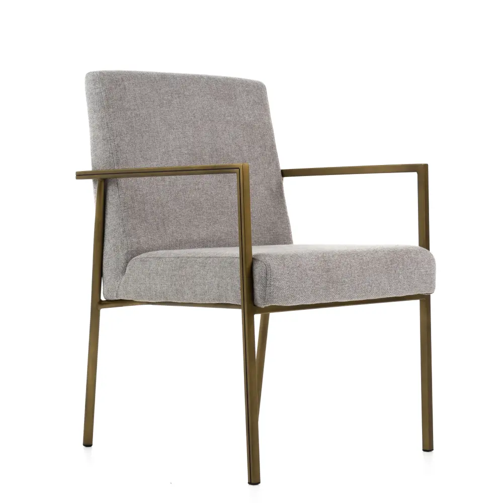 Modrest Burnham - Modern Light Grey & Warm alloy Arm Dining Chair Nursery Room