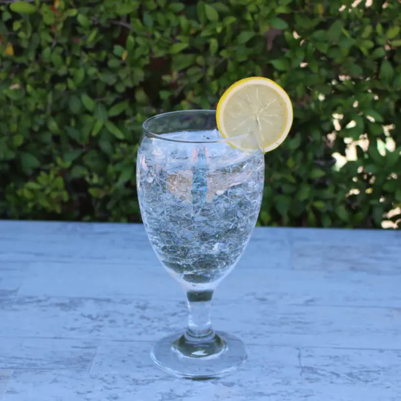 Glass Ice Water w/ Lemon