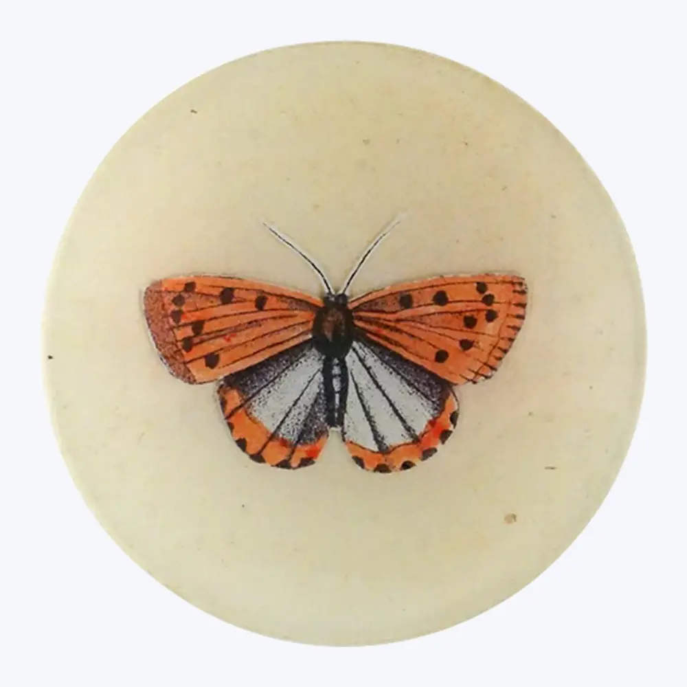 Blush Butterfly Round Plate