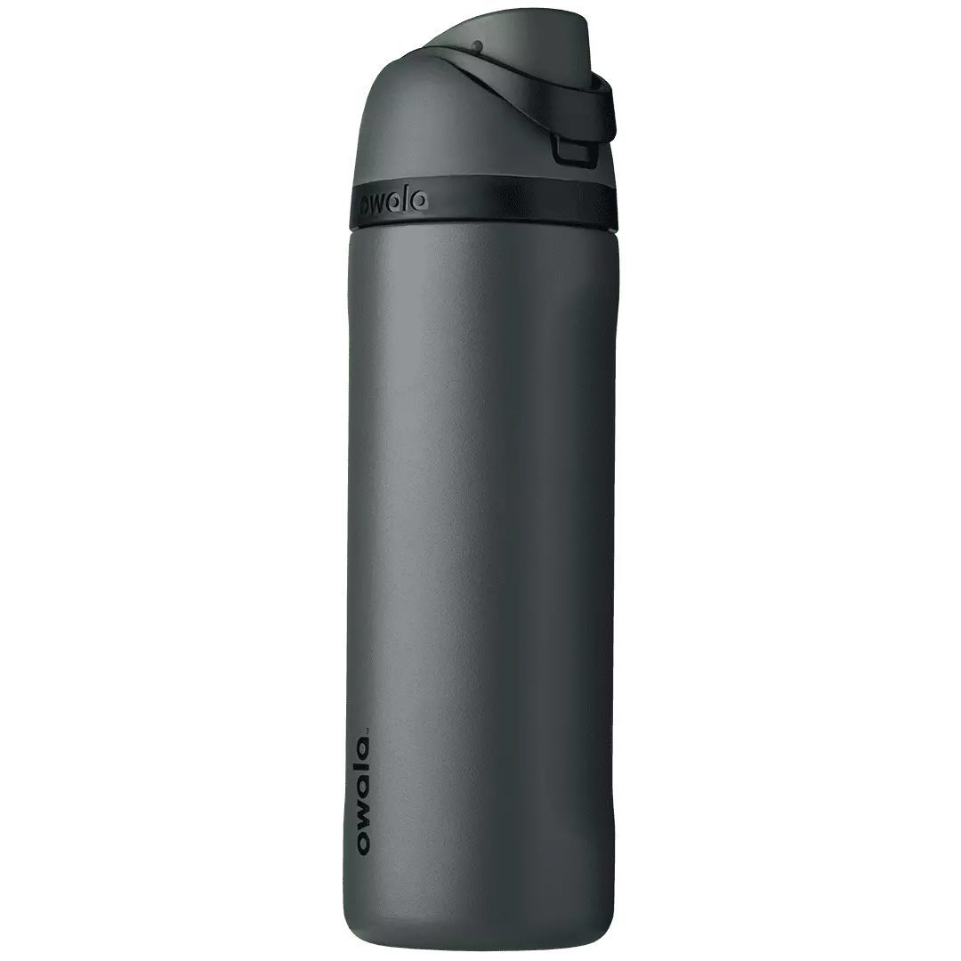 Owala FreeSip Stainless Steel Water Bottle 24 oz Gray Leak Proof Vacuum Insulated Straw