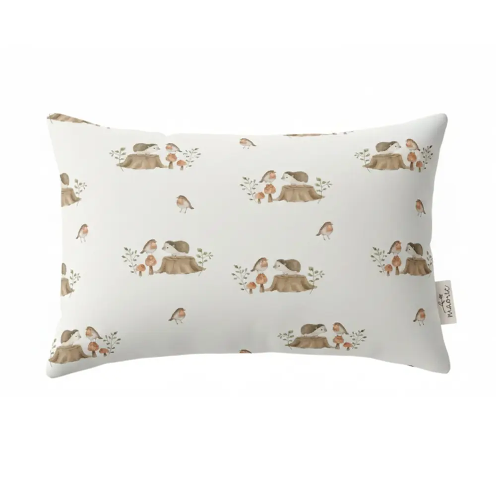 Children Pillow - Erin Dinosaur Theme