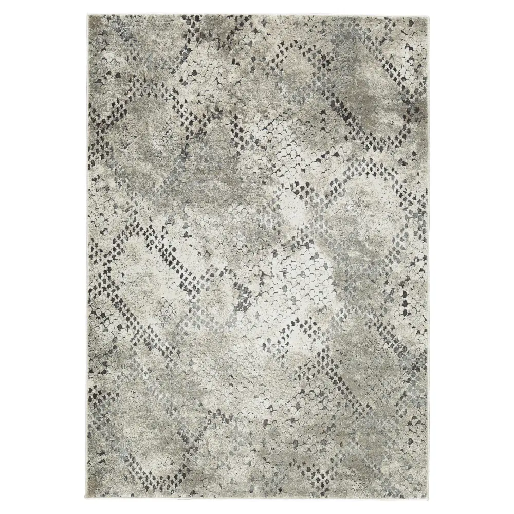 Diamond Modern Furniture Privileged Design Rugs Rectangle R405402