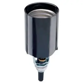 660-Watt 250-Volt Incandescent Candle Socket Medium Base Light Fixture Legrand - Pass u0026 Seymour