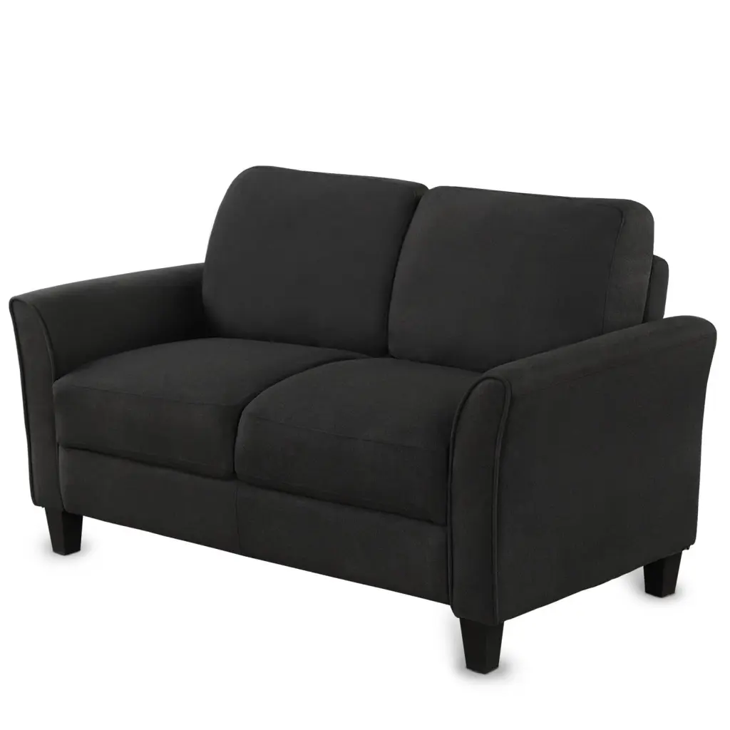 BaytoCare Living Room Furniture Love Seat Sofa Double Seat Sofa Black