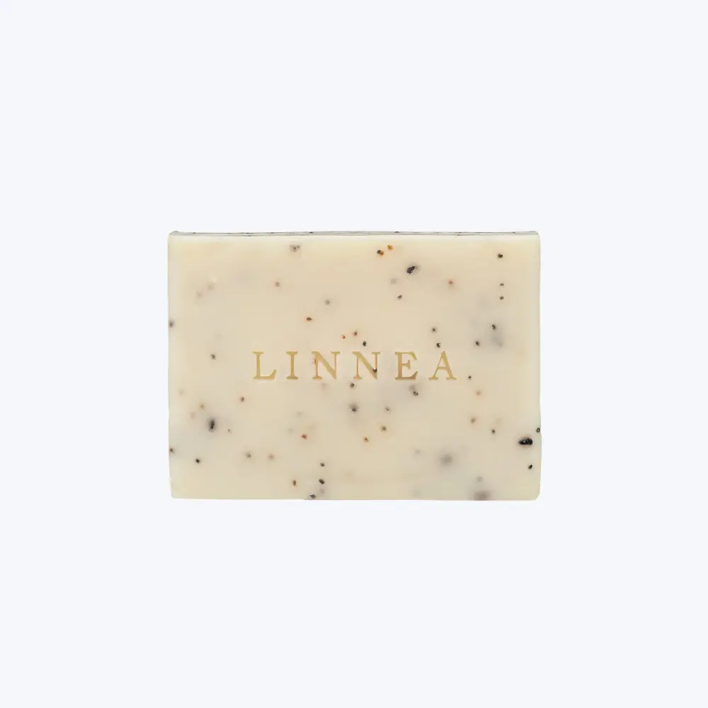 Botanik Gardener's Seeded Soap 6 Reed Sticks