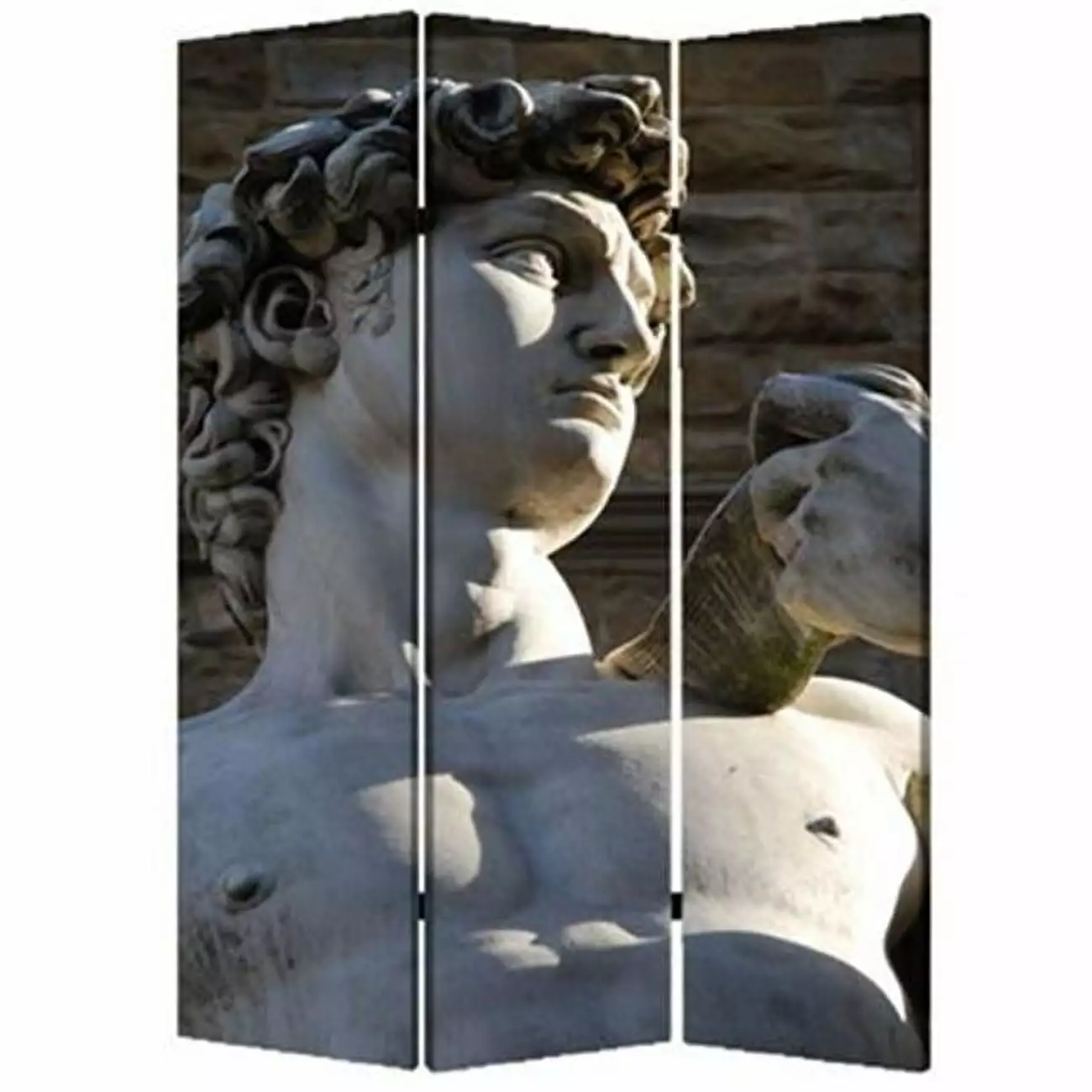 48 W x 72 H Rome Screen Room Divider Freestanding Partition Panel Jagged Designs