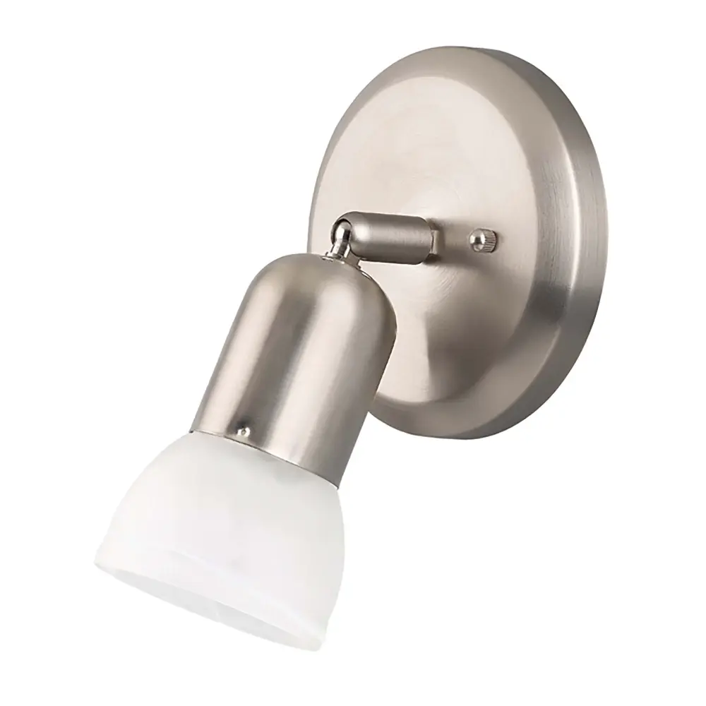 Jasper 1-Head Plate Mount Portable Fixture, Brushed Pewter