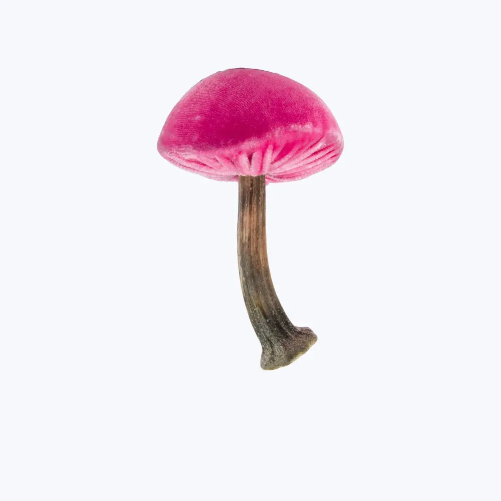 Tiny Velvet Mushroom Ground Stakes
