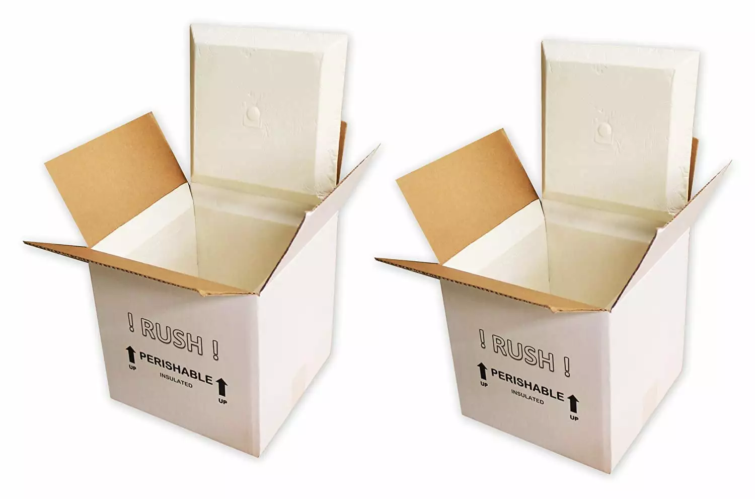 EmmChill SF11A Insulated Shipping Cooler 11 x 9 x 9 Pack 2 Food Delivery