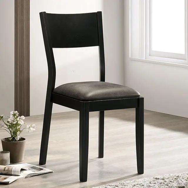 OBERWIL Side Chair Set 2 Modern Dining Chairs