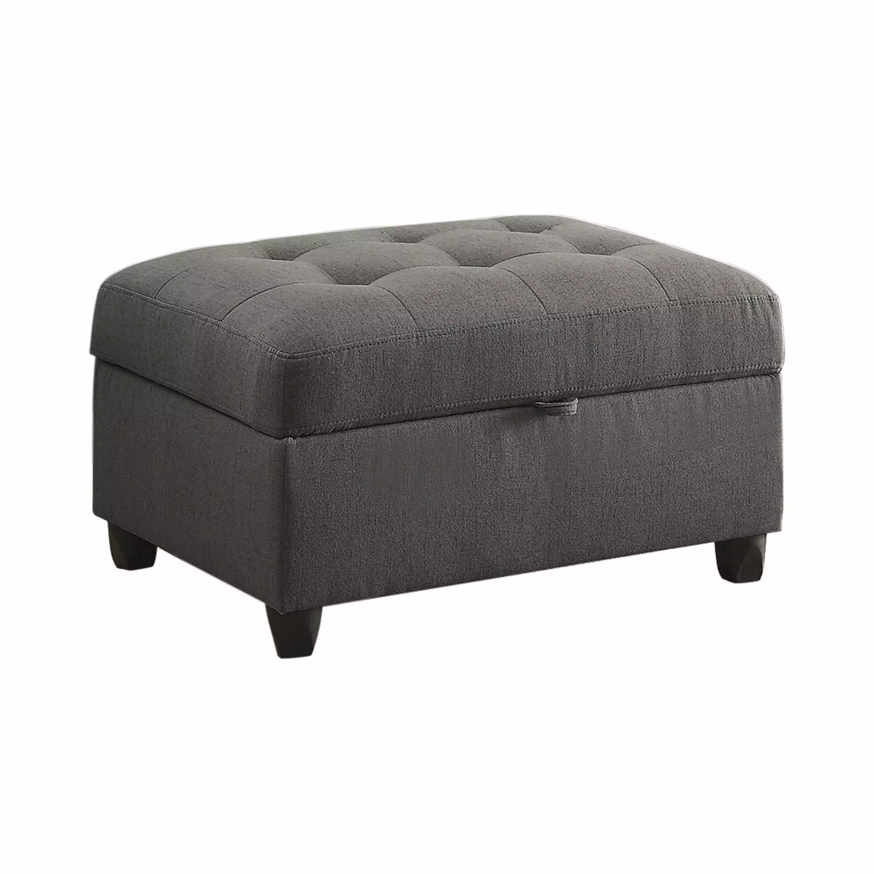 Alberta Contemporary Grey Storage Ottoman - Sleek Living Room Addition Ottomans Bed Bath & Beyond