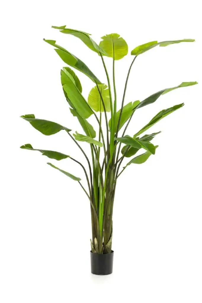 Faux Bird Paradise Plant Set Emerald Strelitzia Artificial Plants