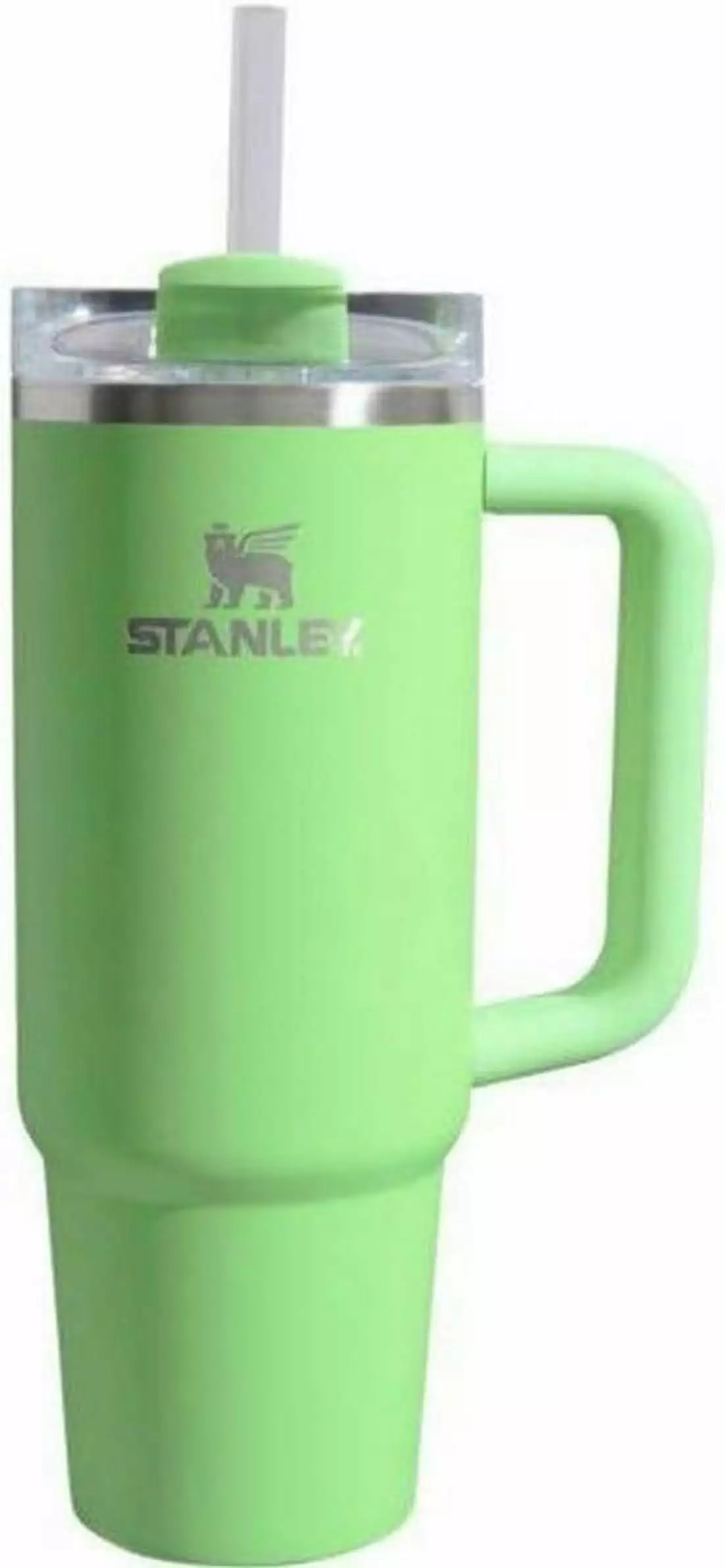 Stanley 30oz Stainless Steel H2.0 Flowstate Quencher Tumbler Feather Green