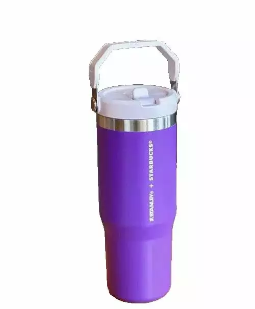 STANTLEY 30 OZ ICEFLOW TUMBLER PURPLE Insulated Travel Cup