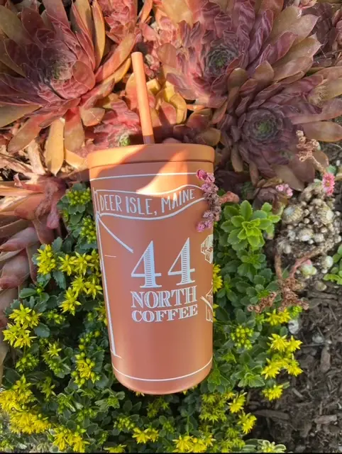 Created Co. Insulated Frigid Cup Straw