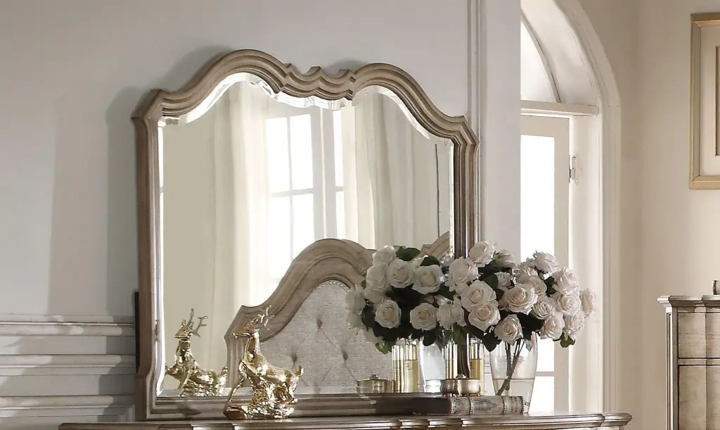 Acme Chelmsford Landscape Mirror Antique Taupe 26054 - Decorative Wall Mirror