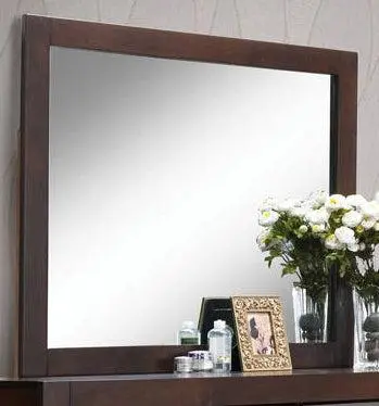 Acme Oberreit Mirror Walnut - Wall Mirror Bedroom