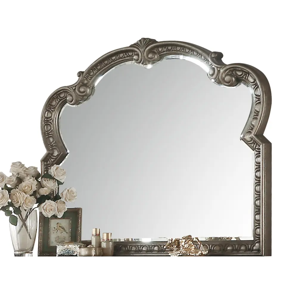 Northville Antique Silver Mirror Vintage Wall Decor